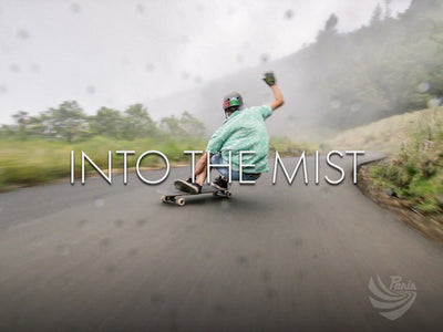 INTO THE MIST | DAVID BUBIER